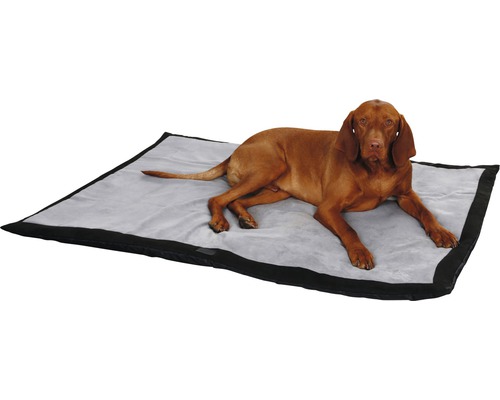 Chien allongé sur un tapis pour chien