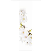 Branche de cerisier en fleurs
