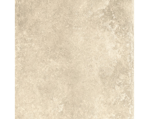 Feinsteinzeug Wand- und Bodenfliese Country Cream rektifiziert 60 x 60 x 0.85 cm