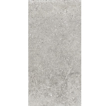 Carrelage mur et sol en grès cérame fin Country Grey rectifié 30 x 60 x 0.85 cm