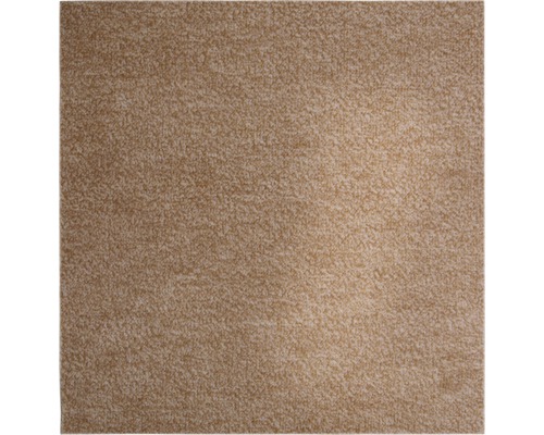 Moquette velours Catania beige foncé largeur 400 cm (au mètre)