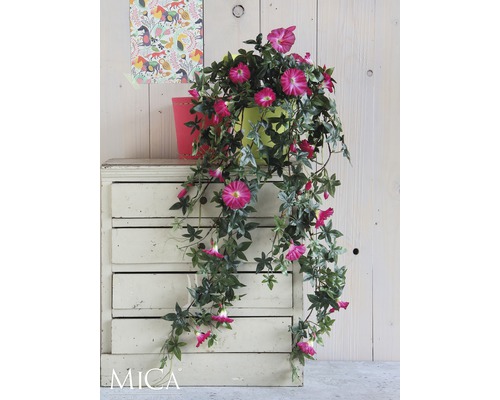 Kletterpflanze mit pinkfarbenen Blüten in bunten Töpfen auf einem alten Schrank