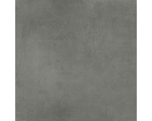 Feinsteinzeug Wand- und Bodenfliese New Concrete grau matt 60 x 60 cm