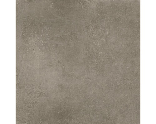 Carrelage pour mur et sol en grès cérame fin New Concrete taupe mat 60x60 cm