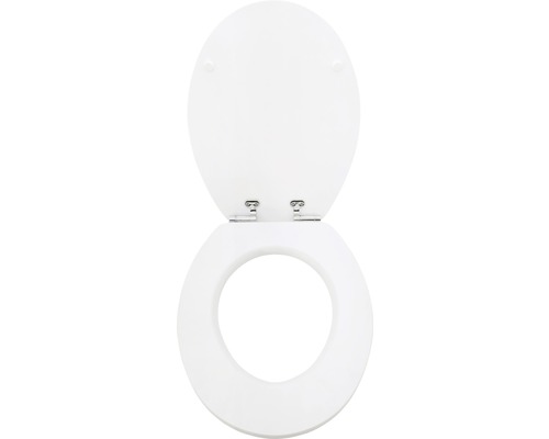 Toilettensitz aus Kunststoff mit Deckel, geöffnet