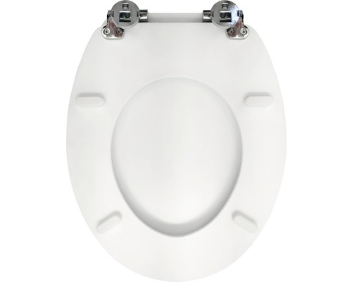 Toilettendeckel aus Kunststoff mit Metallscharnieren
