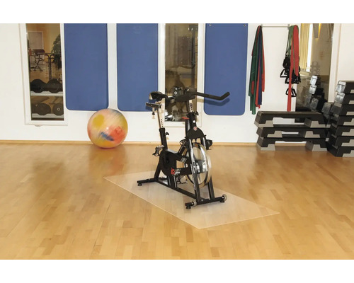 Salle de sport avec vélo d''appartement, ballon de gymnastique, tapis et steps