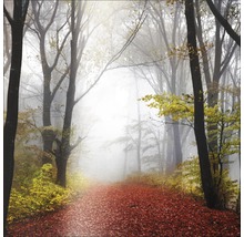 Waldweg im Herbst mit Nebel