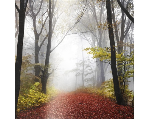 Waldweg im Herbst mit Nebel