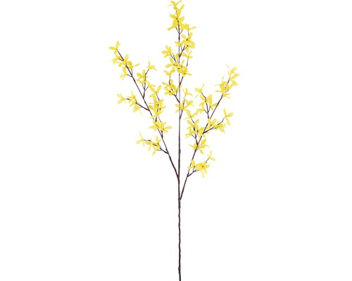 Forsythia branche fleurie H 94 cm