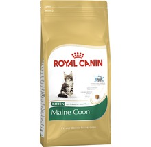Royal Canin Maine Coon Kitten Trockenfutter in Verpackung