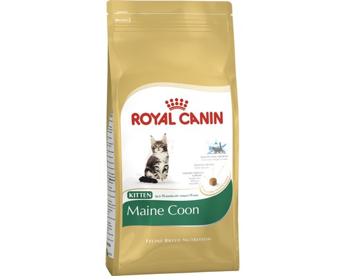 Royal Canin Maine Coon Kitten Trockenfutter in Verpackung