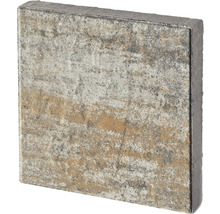 Dalle de terrasse en béton Lamisa calcaire coquillier 30 x 30 x 4 cm-thumb-10