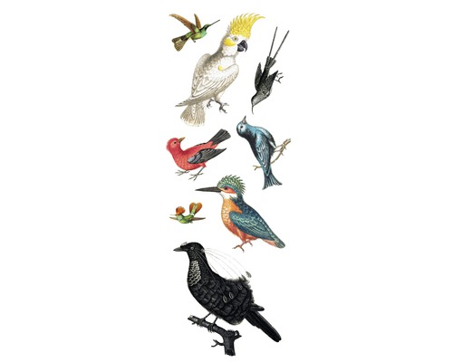 Autocollant mural Birds 25x70 cm-0