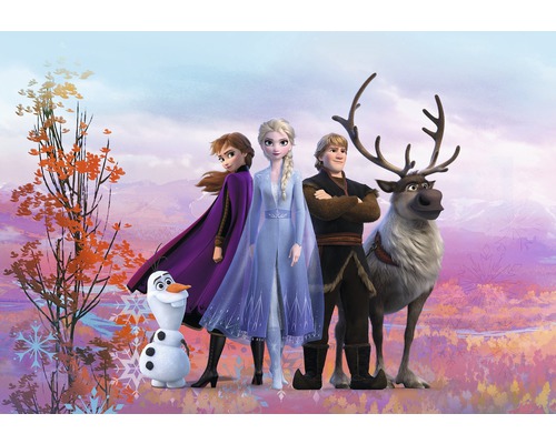Papier peint panoramique SD4103 Disney Edition 4 Disney Frozen Iconic 8 pces 368 x 254 cm