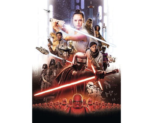 Papier peint panoramique SD4113 Star Wars EP9 Rey Poster 4 pces 184 x 254 cm Affiche du film Star Wars L''Ascension de Skywalker avec des personnages et des vaisseaux spatiaux