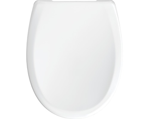 Toilettendeckel aus Sanitärkeramik