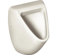 Urinoir Ideal Standard Eurovit alimentation arrière, évacuation à l'arrière en bas blanc brillant K553801-thumb-0