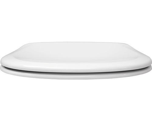 Toilettendeckel aus Kunststoff