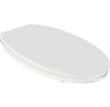 Abattant WC form & style Color Edge gris clair mat avec abaissement automatique-thumb-2