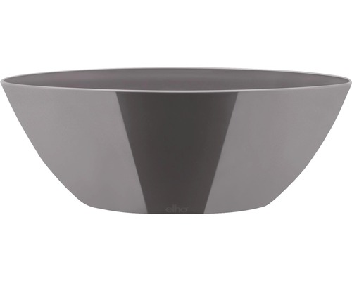 Graue Pflanzschale für den Innenbereich