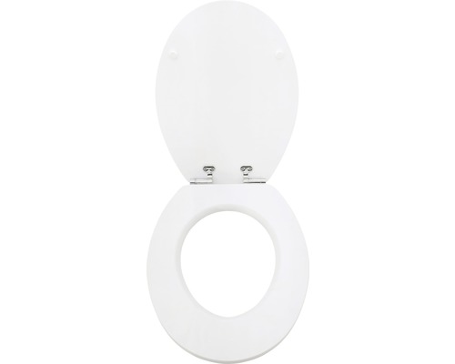 Toilettensitz mit Deckel aus Kunststoff
