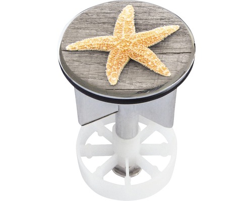 Bouchon excentrique étoile de mer 2 40 mm Bouchon excentrique étoile de mer 2 40 mm
