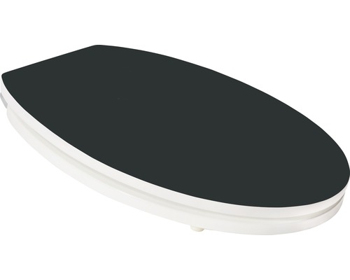Toilettendeckel aus Kunststoff