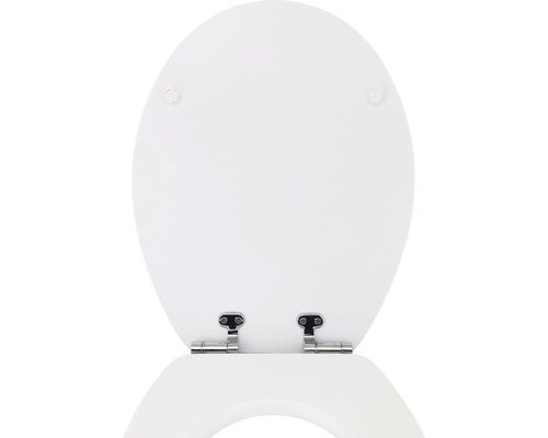 Toilettendeckel aus Sanitärkeramik mit Metallscharnieren