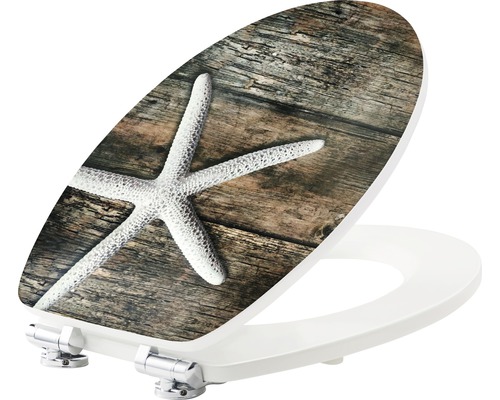 Toilettendeckel mit Seestern auf Holzstruktur