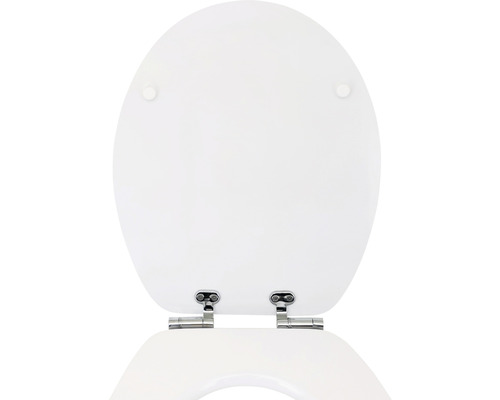 Toilettendeckel mit Edelstahlscharnieren