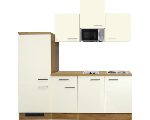 Cuisine équipée avec évier, plaque de cuisson et micro-ondes