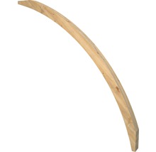 Gebogenes Holzbauelement