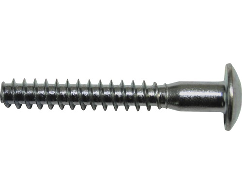 Holzschraube mit Linsenkopf