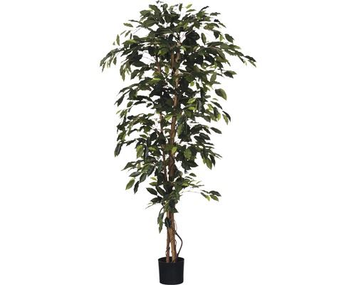 Plante artificielle Ficus Benjamina, vert