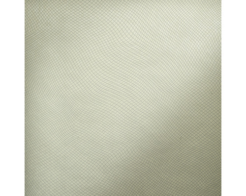 Papier peint intissé 67642-HOR Pure & Noble II Fern Sea gris