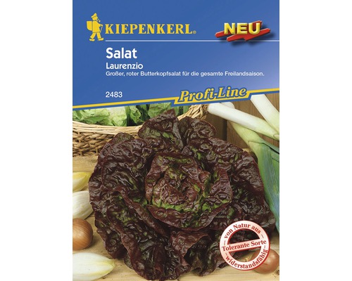 Graines de salade « Laurenzio » Kiepenkerl