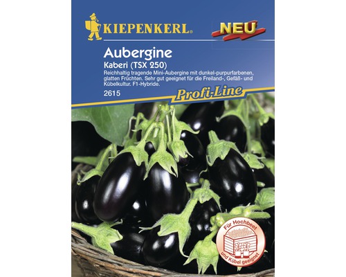 Aubergine 'Kaberi' Kiepenkerl Gemüsesamen