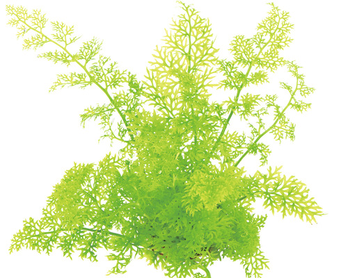 Plante artificielle pour aquariums