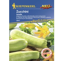 Kiepenkerl Zucchini Ismalia Samentüte