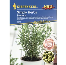Kiepenkerl Simply Herbs Rosmarin-Pflanze im Topf, geeignet für Hochbeete und Kübel