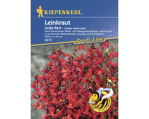 Graines de linaire « Licilia Red » Kiepenkerl