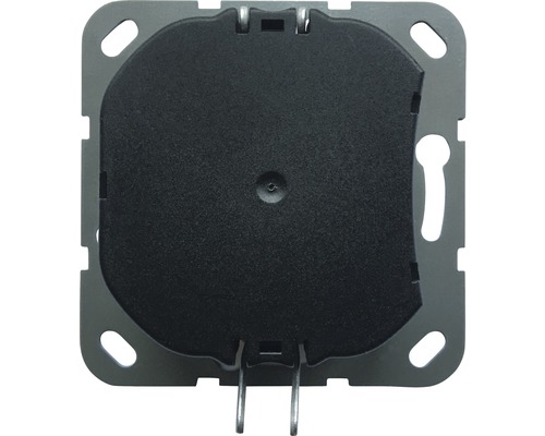 Insert d''interrupteur avec cadre de fixation