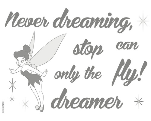Sticker mural Disney Edition 4 Never Stop dreaming 50 x 70 cm