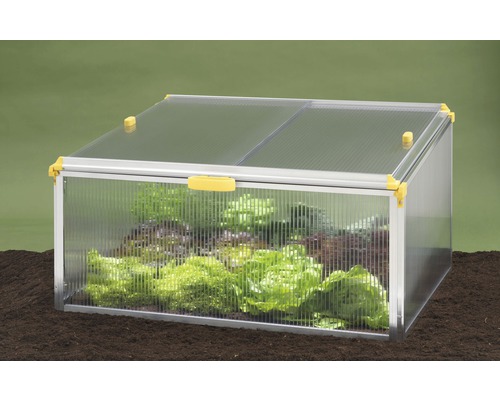 Frühbeet aus Kunststoff mit Gemüsepflanzen