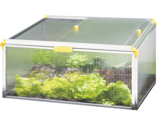 Frühbeet JUWEL Biostar Protect 1000 inkl. Schädlings- und Wetterschutz 100 x 75 cm