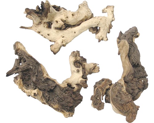 Trois morceaux de bois de racine pour la décoration d''aquarium