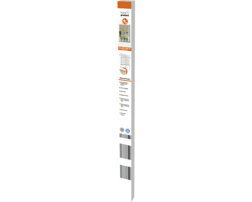 Home Protect Insektenschutzrollo für Fenster, Abmessungen 80 mal 160 Zentimeter