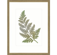Image encadrée avec motif végétal