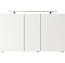 Spiegelschrank Pelipal Xpressline 4035 120 x 14,5 x 70,3 cm grau 3-türig LED IP 44